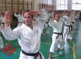 Seminar of Sensei Shibamori