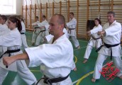 Seminar of Sensei Shibamori