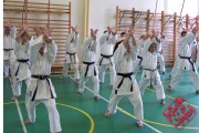 Seminar of Sensei Shibamori