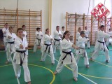 Seminar of Sensei Shibamori