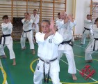 Seminar of Sensei Shibamori