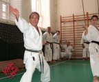 Seminar of Sensei Shibamori