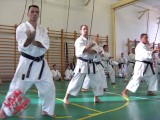 Seminar of Sensei Shibamori