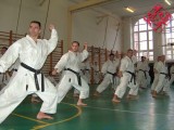 Seminar of Sensei Shibamori