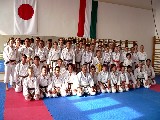 Shibamori Sensei's seminar