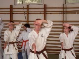 Shibamori Sensei's seminar