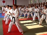 Shibamori Sensei's seminar