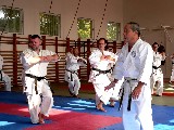 Shibamori Sensei's seminar