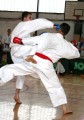 Csapat Kumite Országos Bajnokság