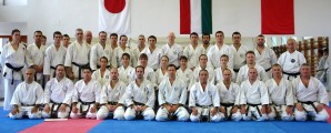 Seminar of Sensei Shibamori