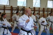 Seminar of Sensei Shibamori