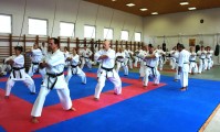 Seminar of Sensei Shibamori