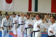 Seminar of Sensei Shibamori