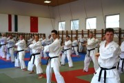 Seminar of Sensei Shibamori