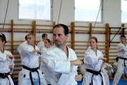 Seminar of Sensei Shibamori