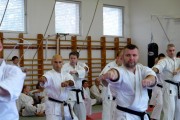 Seminar of Sensei Shibamori