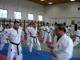 Seminar of Sensei Shibamori