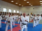 Seminar of Sensei Shibamori