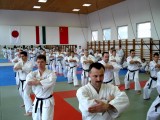 Seminar of Sensei Shibamori