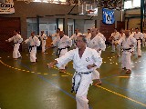 20th Anniversary Seminar and Dan Examinations