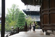 Hungarians in the Josuikai Honbu Dojo