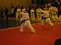 EWSKA Open International Championships 2010