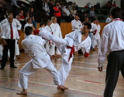 IWKU Open 2011