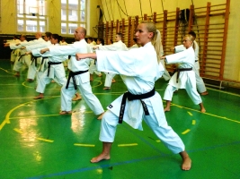 XVI. Széki Kupa - Shibamori Sensei és Ohshita Sensei szemináriuma