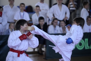 16th Szki Cup - Seminar by Sensei Shibamori and Sensei Ohshita