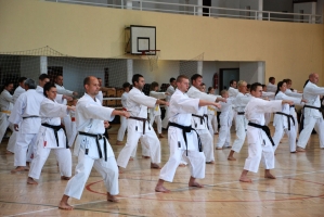 16th Szki Cup - Seminar by Sensei Shibamori and Sensei Ohshita