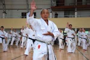 XVI. Széki Kupa - Shibamori Sensei és Ohshita Sensei szemináriuma