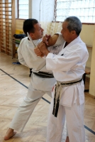 16th Szki Cup - Seminar by Sensei Shibamori and Sensei Ohshita