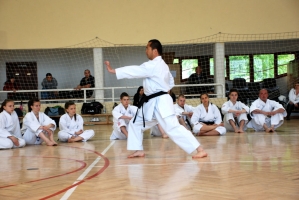 XVI. Széki Kupa - Shibamori Sensei és Ohshita Sensei szemináriuma