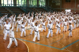 Natsugasshuku 2011