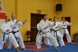 IWKU Seminar, Dublin