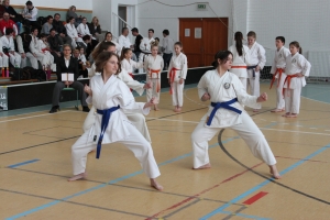 Championship for beginners of Hungarian Wado-ryu Karate Federation