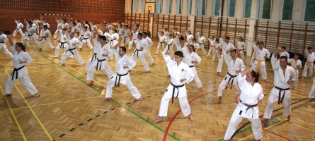 Seminar of Shihan Shibamori