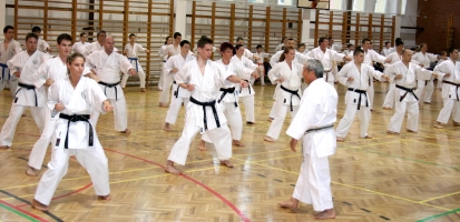 Seminar of Shihan Shibamori