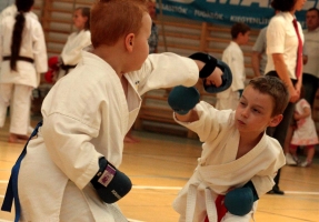 Galga-SZAC Cup - Open karate Championship