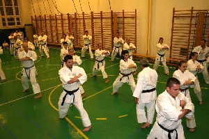 Shibamori Seminar