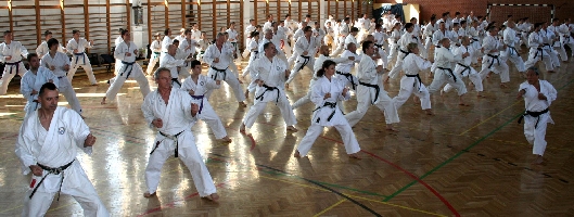 Shibamori Seminar