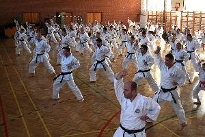 Shibamori Seminar