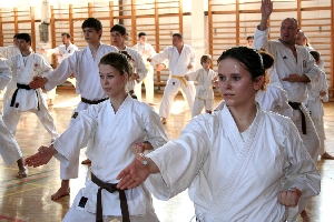 Shibamori Seminar