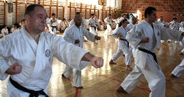 Shibamori Seminar