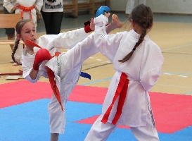 2nd Galga-SZAC Cup - International Karate Championships