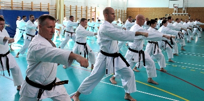 Shibamori Seminar