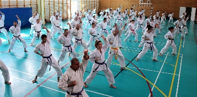 Shibamori Seminar