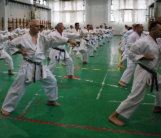 Shibamori szeminárium