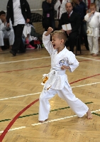 Wadokarate Országos Bajnokság 2013