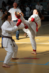 Wadokarate Utánpótlás Országos Bajnokság - Kodomo 2014